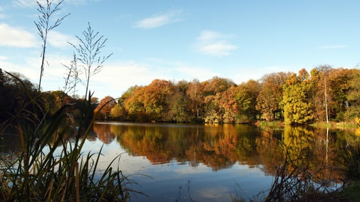 An autumnal view of park and lake at Nostell Priory and Parkland, Yorkshire